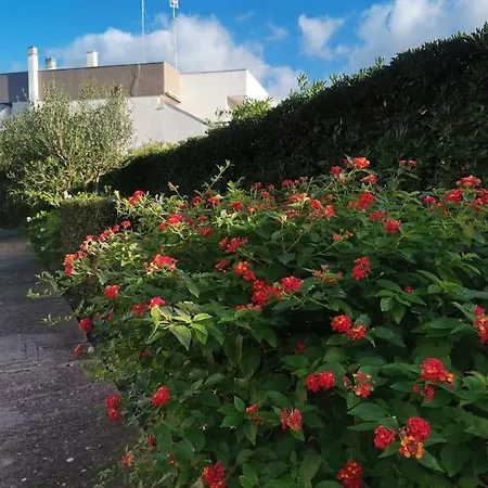 Casa Azzurra - Intero Con Piscina * Torre A Mare