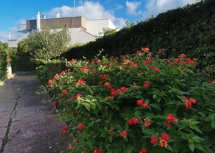 Casa Azzurra - Intero Con Piscina * 토레 아 마레